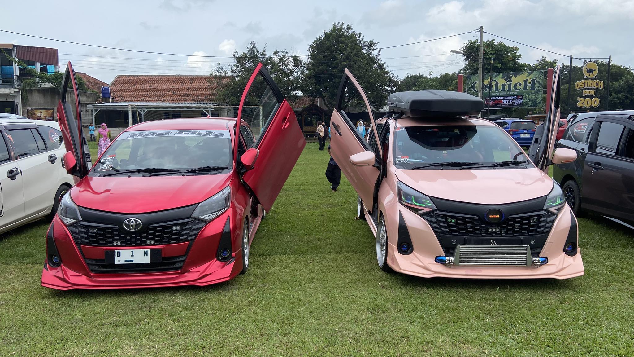 Lambo Door